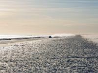 Nokian Tyres Audi RS6 (2013) - picture 21 of 31