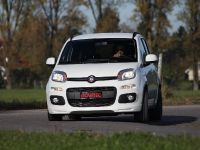 Novitec  Fiat Panda (2012) - picture 1 of 23