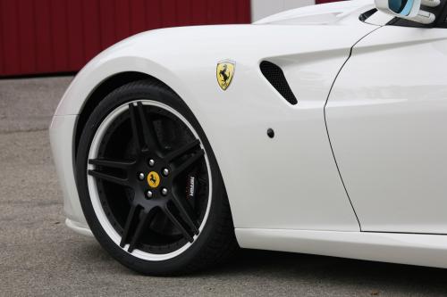 NOVITEC ROSSO Ferrari 599 GTB (2009) - picture 17 of 25