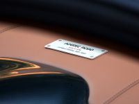 Novitec Rosso Ferrari Race 848 (2010) - picture 21 of 21