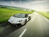 Novitec Torado Lamborghini Aventador LP 700-4 Roadster (2014) - picture 10 of 15