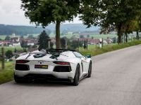 Novitec Torado Lamborghini Aventador LP 700-4 Roadster (2014) - picture 11 of 15