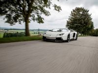 Novitec Torado Lamborghini Aventador LP 700-4 Roadster (2014)