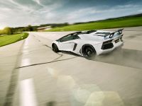 Novitec Torado Lamborghini Aventador LP 700-4 Roadster (2014) - picture 14 of 15