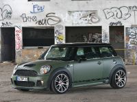 NOWACK Motors Mini Cooper S (2010) - picture 14 of 20