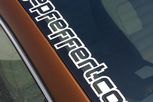 NRW Volkswagen Passat CC (2013) - picture 9 of 10