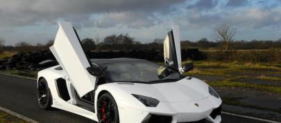 Oakley Design Lamborghini Aventador LP760-4 Dragon Edition (2012) - picture 4 of 31