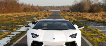 Oakley Design Lamborghini Aventador LP760-4 Dragon Edition (2012) - picture 7 of 31