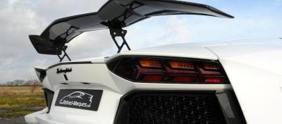 Oakley Design Lamborghini Aventador LP760-4 Dragon Edition (2012) - picture 12 of 31