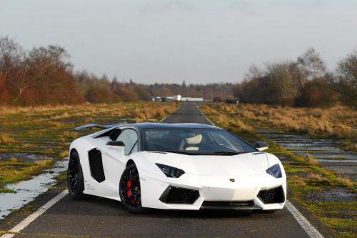 Oakley Design Lamborghini Aventador LP760-4 Dragon Edition (2012) - picture 8 of 31