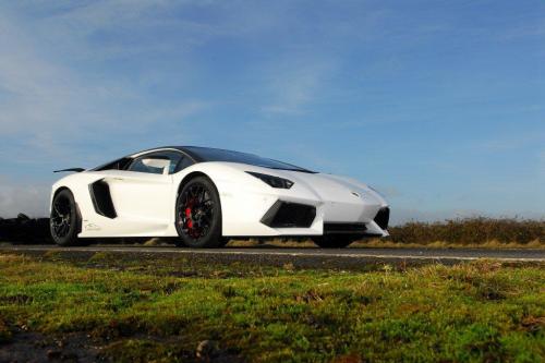 Oakley Design Lamborghini Aventador LP760-4 Dragon Edition (2012) - picture 17 of 31