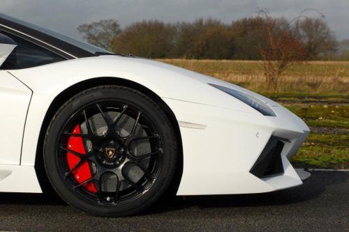 Oakley Design Lamborghini Aventador LP760-4 Dragon Edition (2012) - picture 25 of 31