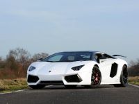 Oakley Design Lamborghini Aventador LP760-4 Dragon Edition (2012) - picture 1 of 31