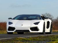 Oakley Design Lamborghini Aventador LP760-4 Dragon Edition (2012) - picture 3 of 31