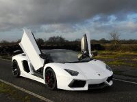 Oakley Design Lamborghini Aventador LP760-4 Dragon Edition (2012) - picture 4 of 31