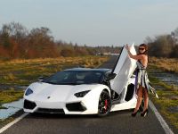 Oakley Design Lamborghini Aventador LP760-4 Dragon Edition (2012) - picture 5 of 31