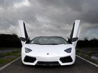 Oakley Design Lamborghini Aventador LP760-4 Dragon Edition (2012) - picture 6 of 31