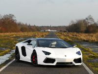 Oakley Design Lamborghini Aventador LP760-4 Dragon Edition (2012) - picture 8 of 31