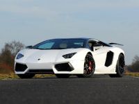 Oakley Design Lamborghini Aventador LP760-4 Dragon Edition (2012) - picture 10 of 31