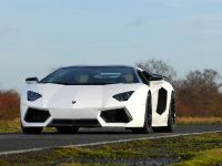 Oakley Design Lamborghini Aventador LP760-4 Dragon Edition (2012) - picture 11 of 31