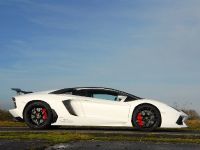 Oakley Design Lamborghini Aventador LP760-4 Dragon Edition (2012)