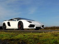 Oakley Design Lamborghini Aventador LP760-4 Dragon Edition (2012)