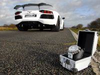 Oakley Design Lamborghini Aventador LP760-4 Dragon Edition (2012) - picture 18 of 31