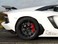 Oakley Design Lamborghini Aventador LP760-4 Dragon Edition (2012) - picture 26 of 31