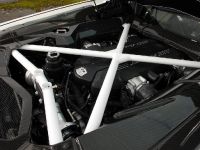 Oakley Design Lamborghini Aventador LP760-4 Dragon Edition (2012) - picture 27 of 31