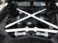 Oakley Design Lamborghini Aventador LP760-4 Dragon Edition (2012) - picture 29 of 31