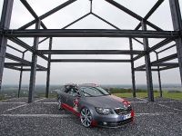 OK-Chiptuning Skoda Superb (2013) - picture 5 of 17