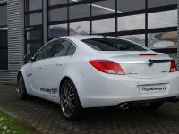 STEINMETZ Opel Insignia (2008) - picture 4 of 8