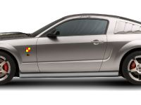 ROUSH P-51A Ford Mustang (2007)