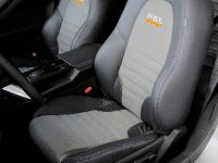 ROUSH P-51A Ford Mustang (2007)