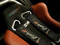 Pagani Zonda R (2009)