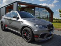 Performance and Cam Shaft BMW X6 M (2013) - picture 3 of 15