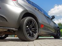 Performance and Cam Shaft BMW X6 M (2013) - picture 10 of 15