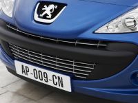 Peugeot 206 Plus (2009)