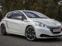 Peugeot 208 HYbrid FE concept (2013) - picture 1 of 6