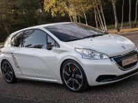 Peugeot 208 HYbrid FE concept (2013) - picture 2 of 6
