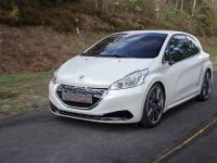 Peugeot 208 HYbrid FE Concept (2013) - picture 5 of 6