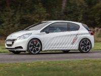 Peugeot 208 HYbrid FE concept (2013) - picture 6 of 6