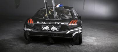 Peugeot 208 T16 Pikes Peak Racer (2013) - picture 4 of 9