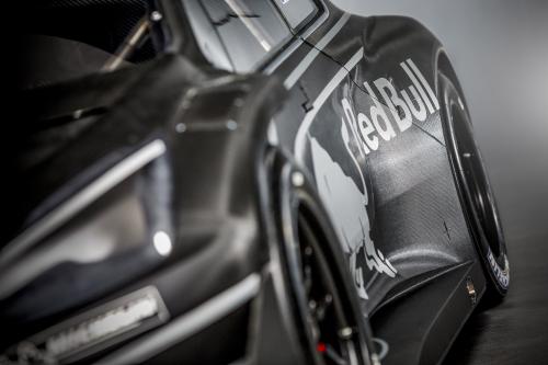 Peugeot 208 T16 Pikes Peak Racer (2013) - picture 9 of 9