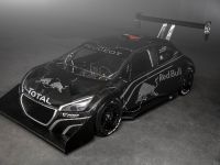 Peugeot 208 T16 Pikes Peak Racer (2013) - picture 2 of 9