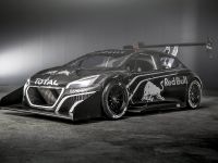 Peugeot 208 T16 Pikes Peak Racer (2013) - picture 3 of 9