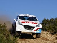 Peugeot 208 Type R5 (2012) - picture 1 of 3