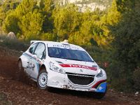 Peugeot 208 Type R5 (2012) - picture 2 of 3