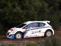 Peugeot 208 Type R5 (2012) - picture 3 of 3