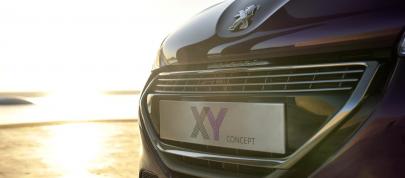 Peugeot 208 XY Concept (2012) - picture 4 of 12